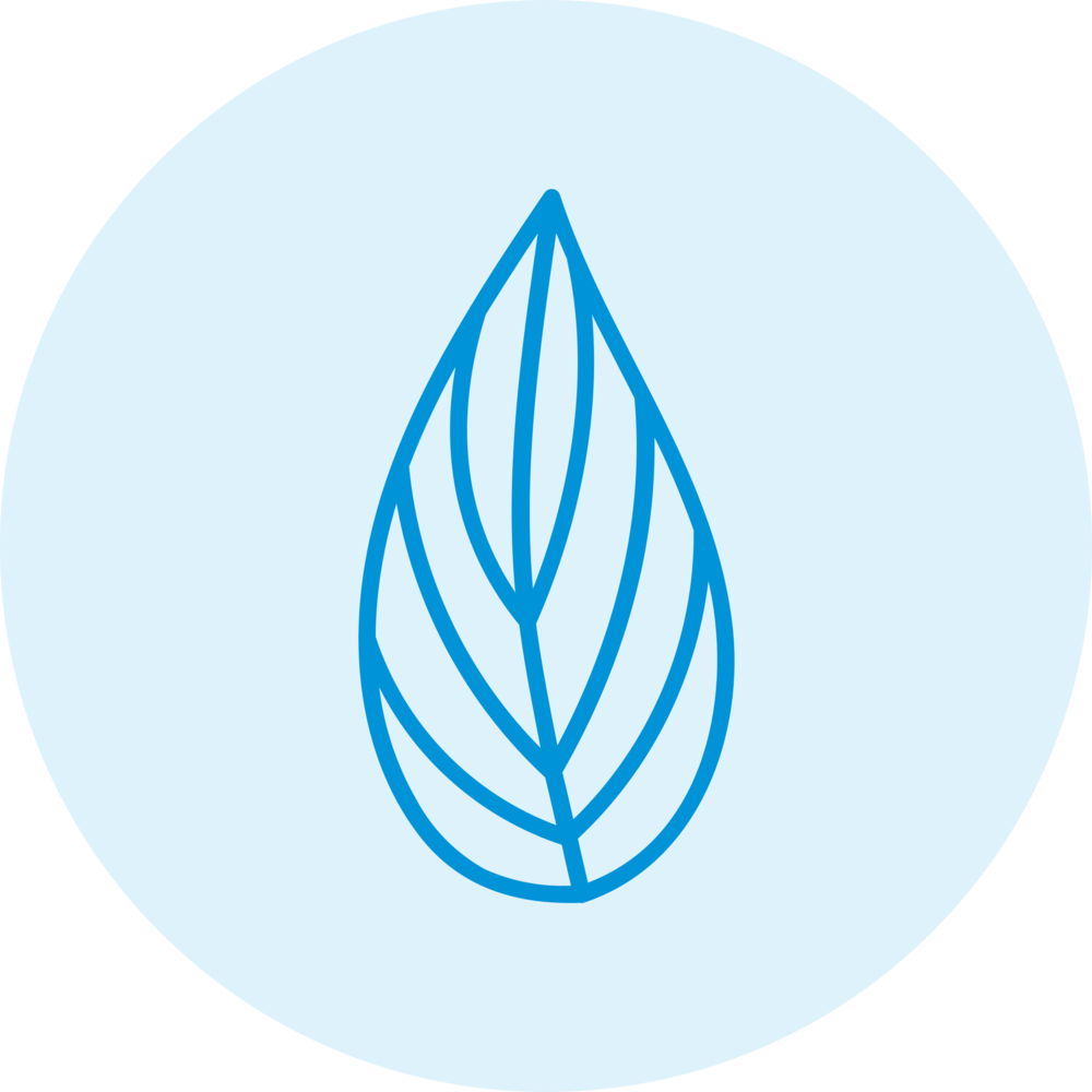 elm